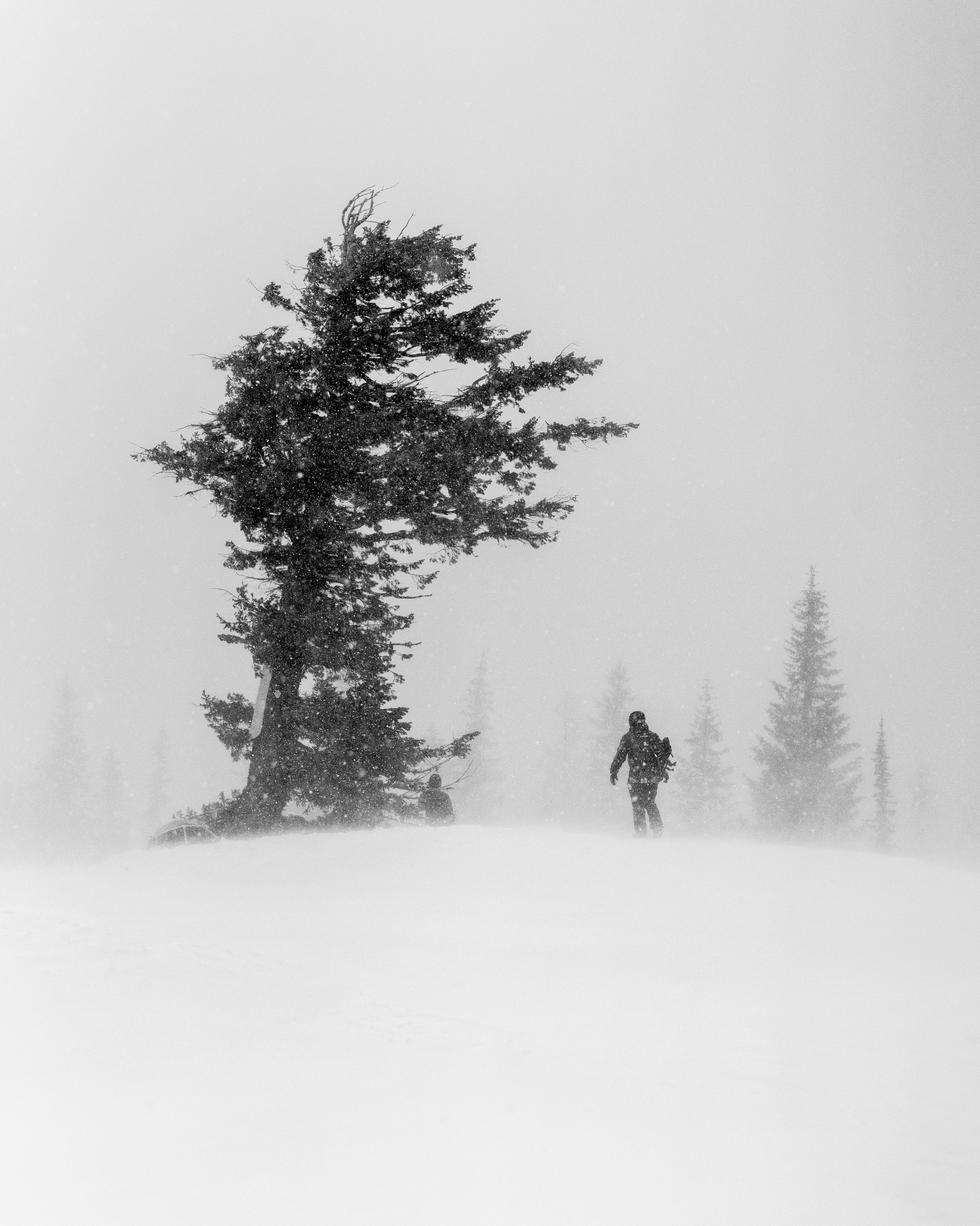 Powder Patrol T-Shirt