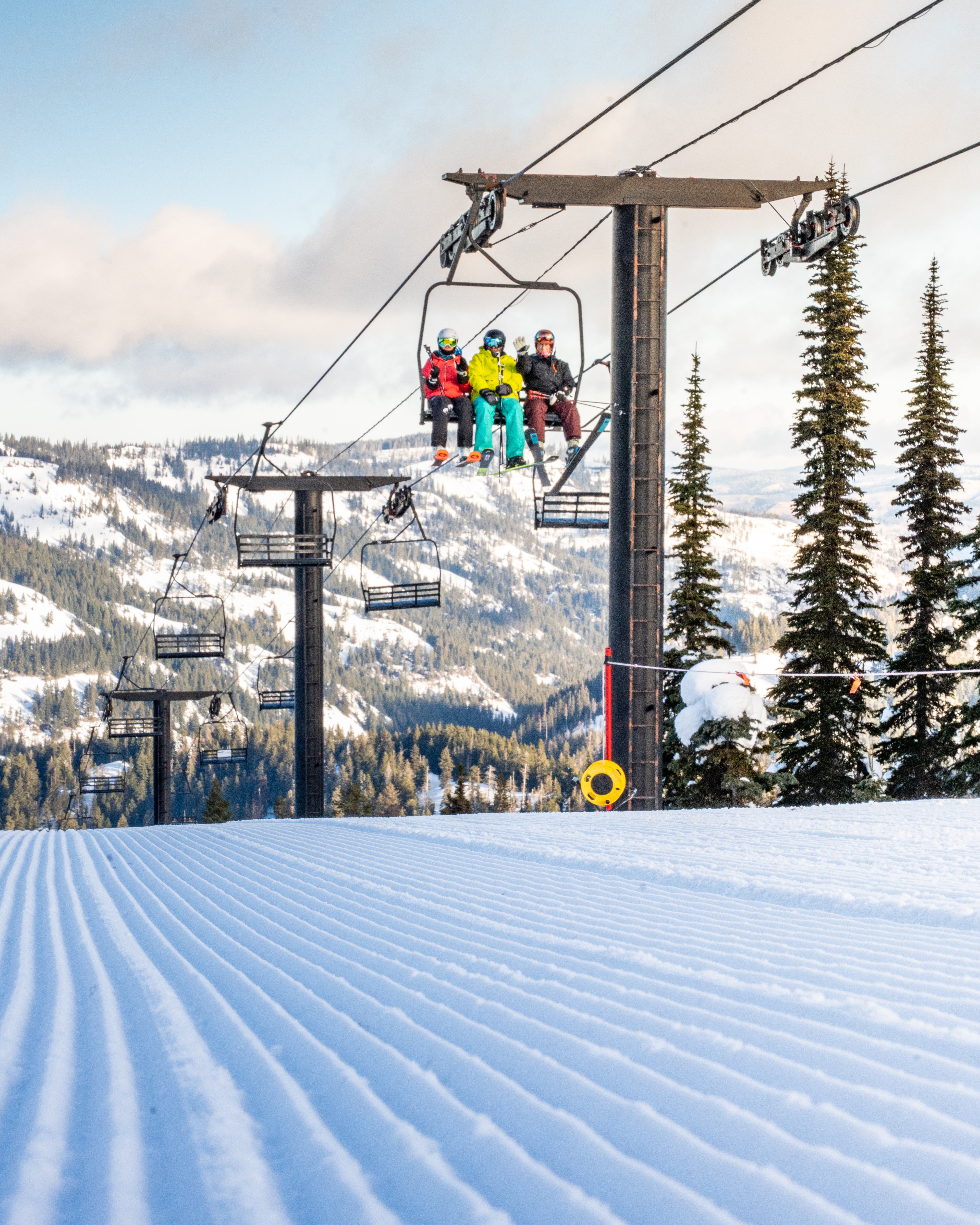 Classic Bluewood Logo T-Shirt