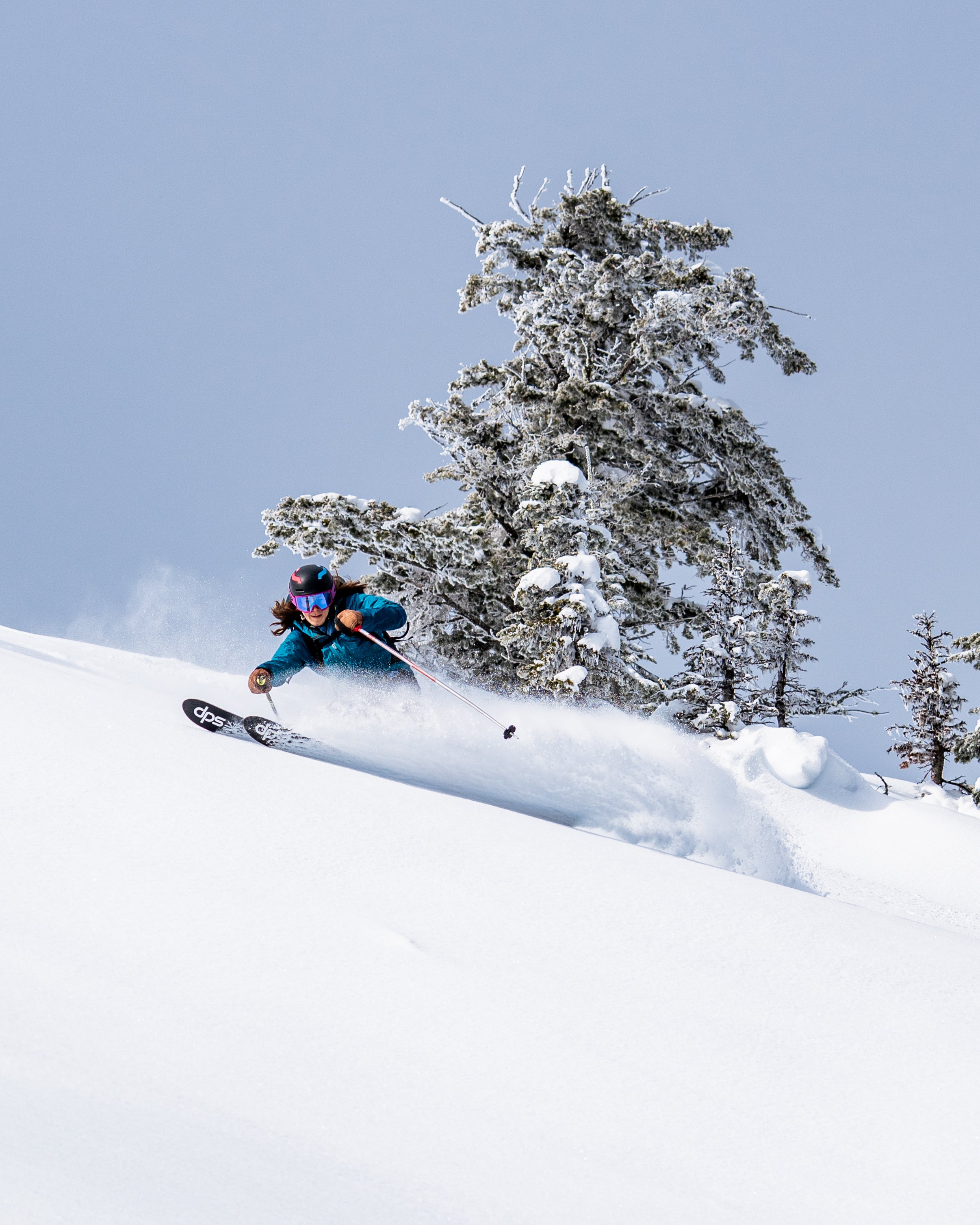 Powder Patrol Hoodie