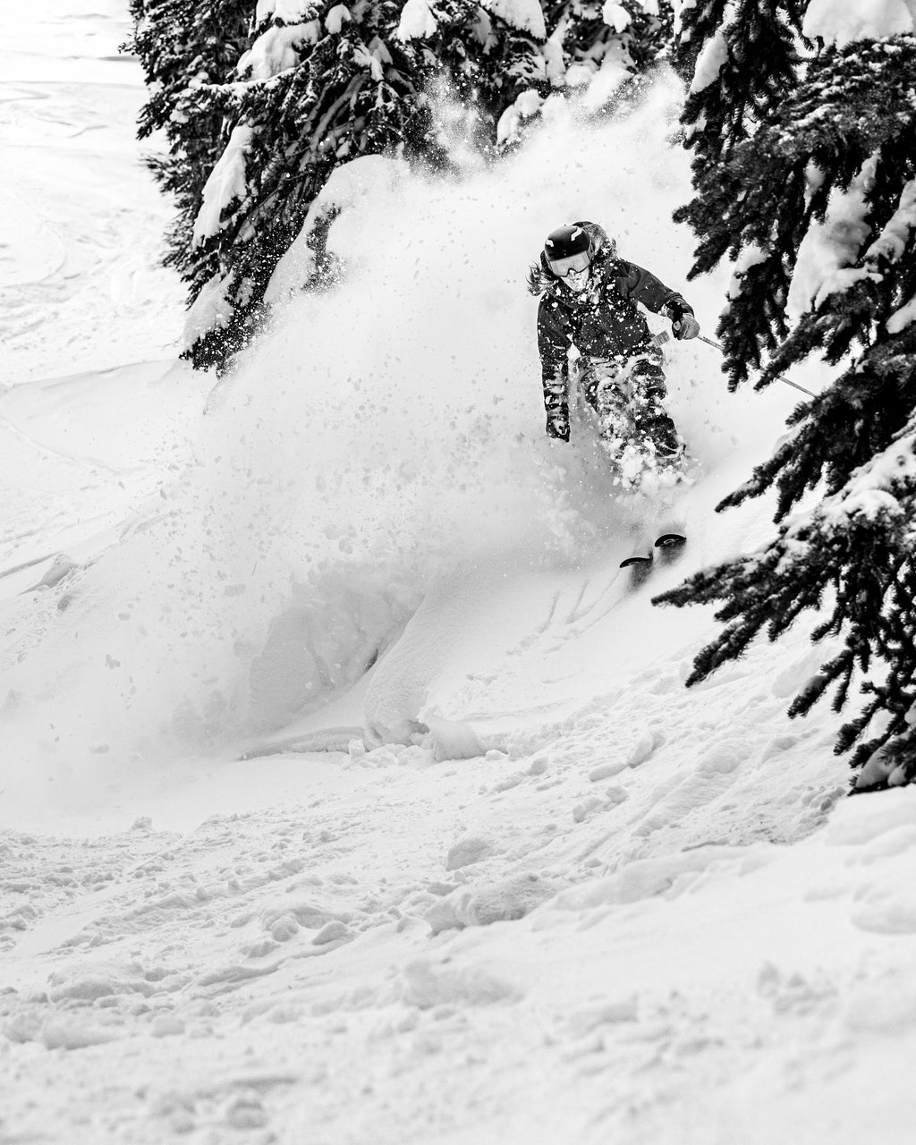 Coordinates Crop Women's Hoodie