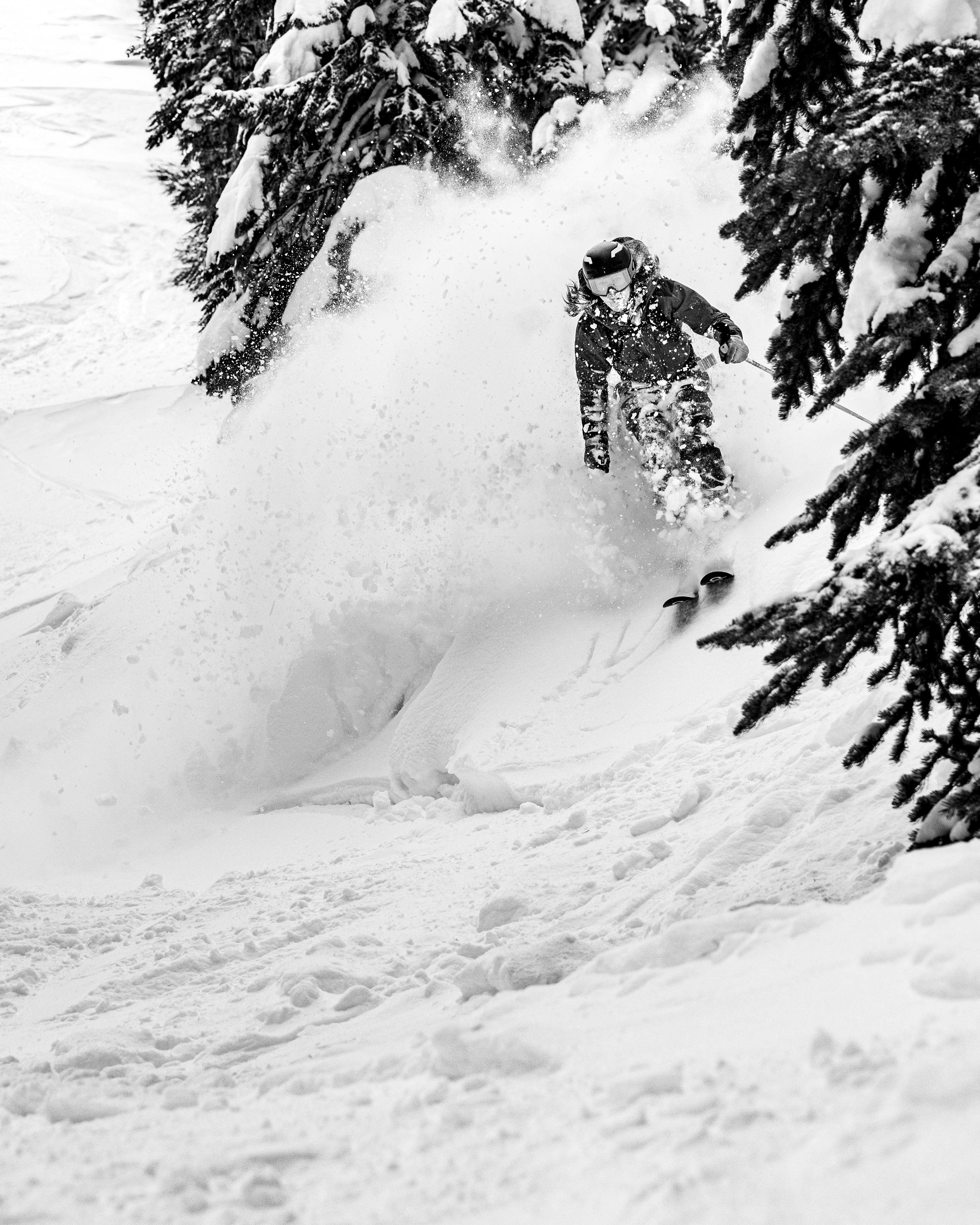 Coordinates Crop Women's Hoodie