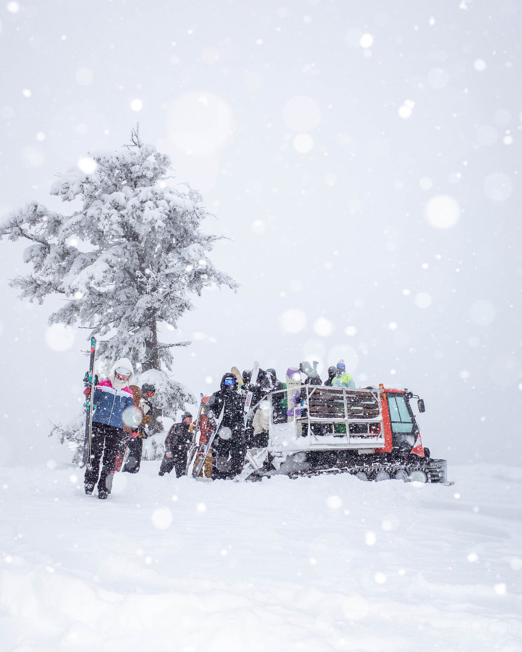 Vit Cat Zip-UP Hoodie