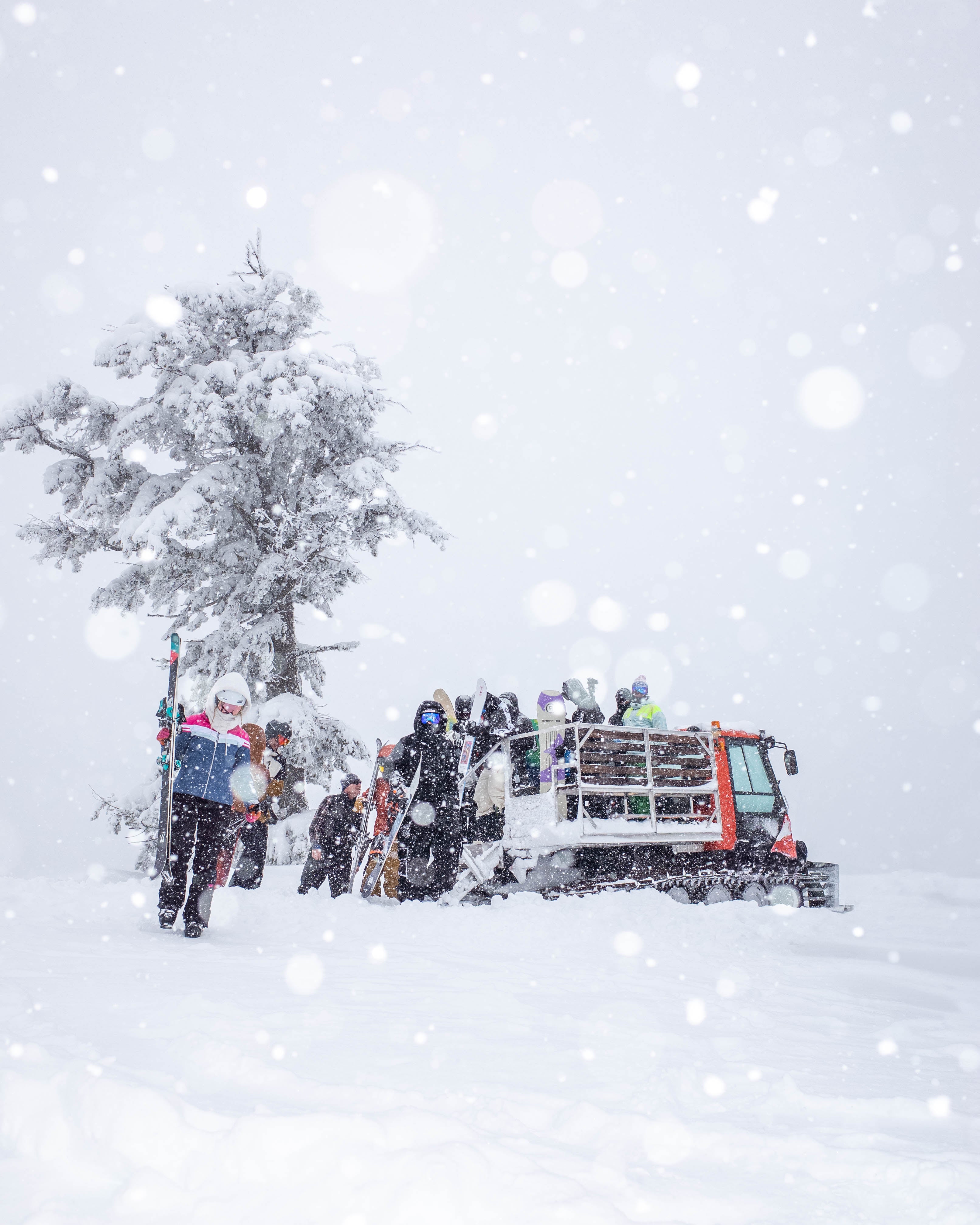 Vit Cat Zip-UP Hoodie