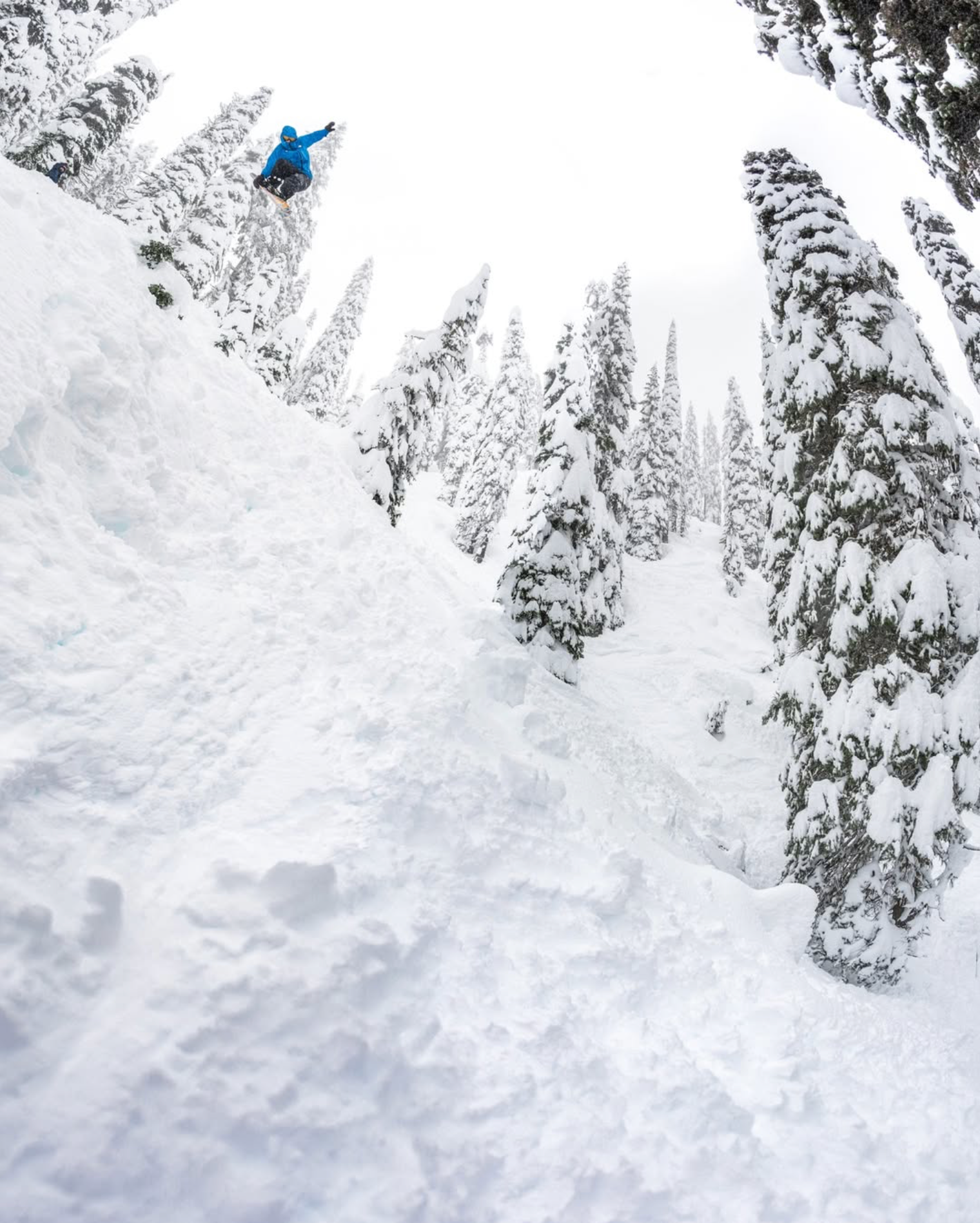 Bluewood Mix Tape T-Shirt