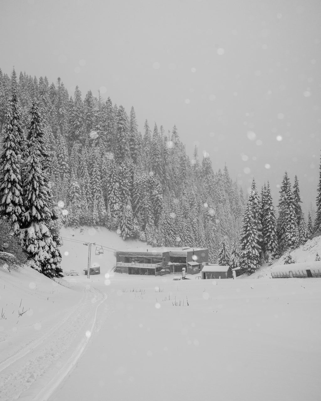 Leather Topo Patch Trucker Hat